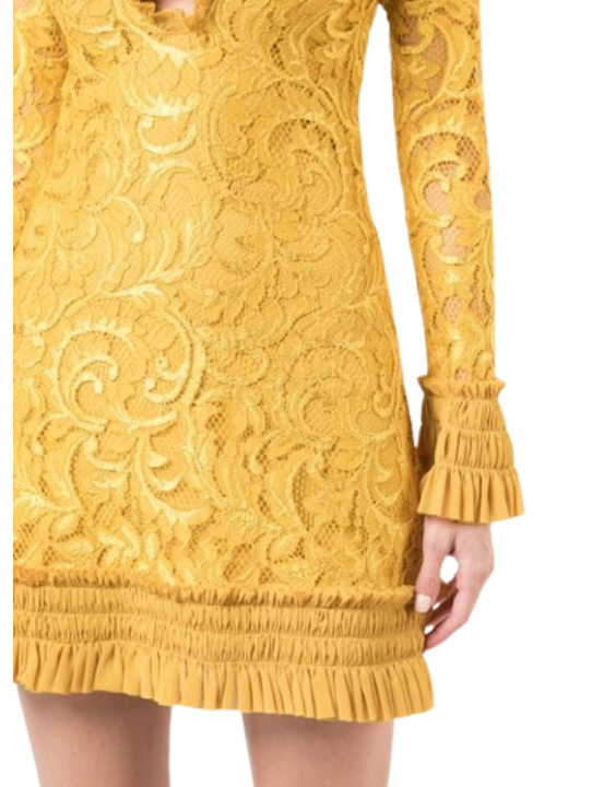 Alexis nuray hotsell lace mini dress